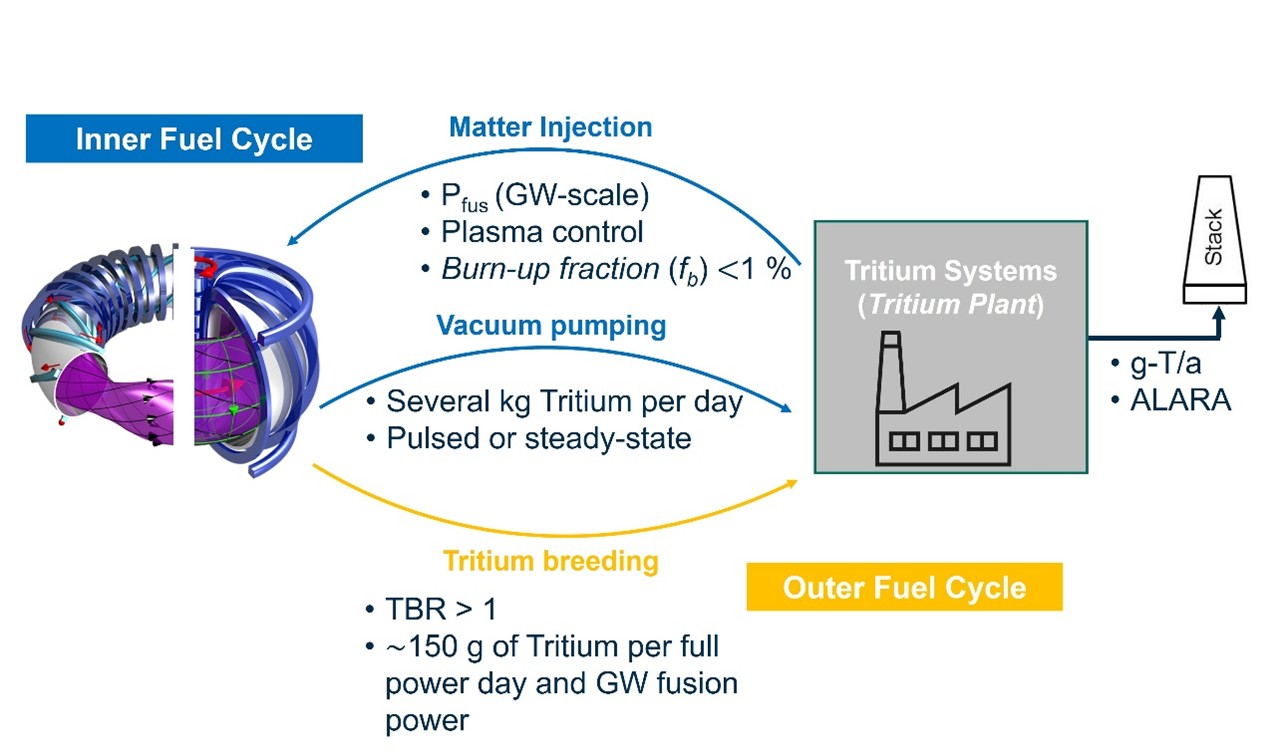 Schema des inneren und äußeren Brennstoffkreislaufs einer Fusionsanlage mit Tritium-Produktion.